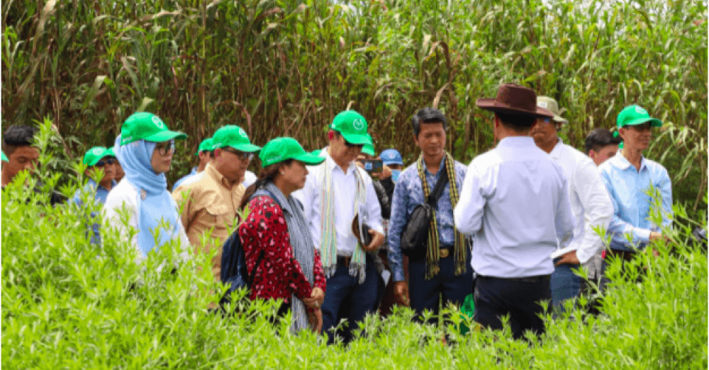 Engaging Cambodia Private Sector in Conservation Agriculture